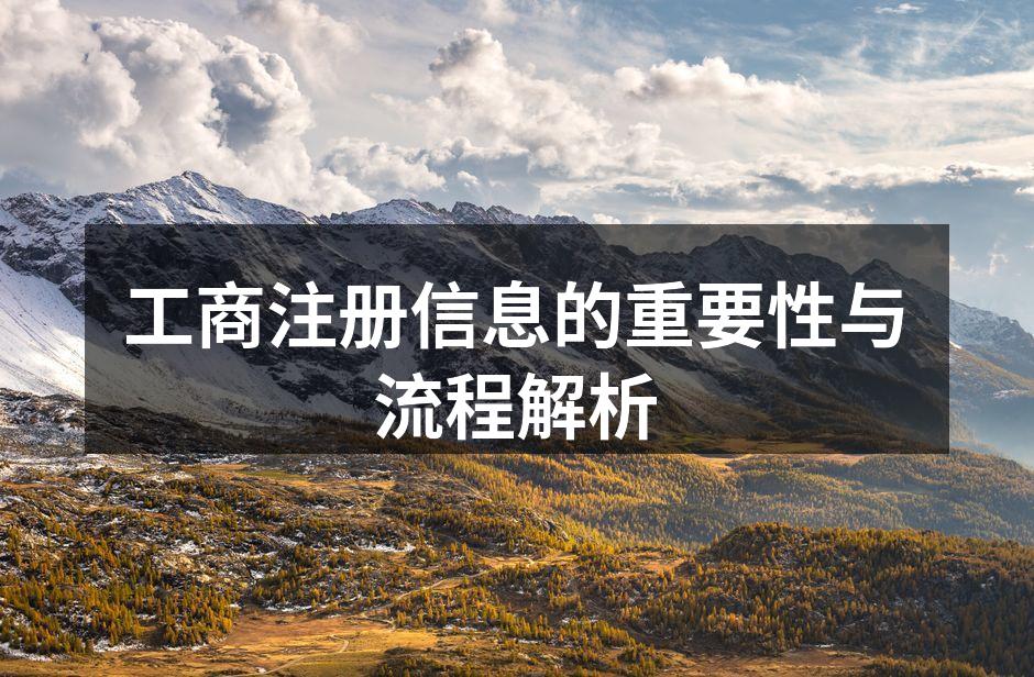工商注册流程图示